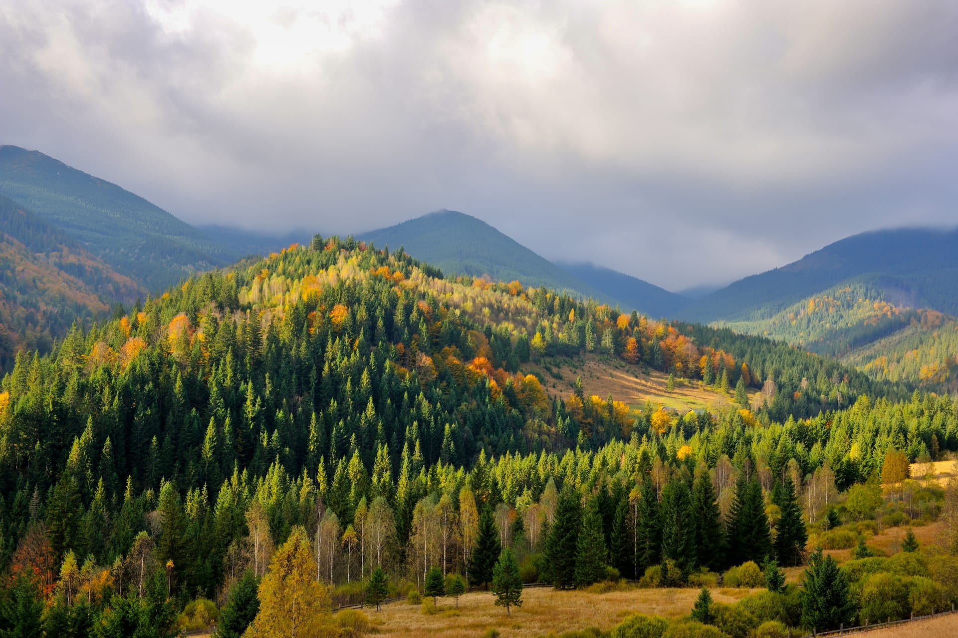 Paysage automne